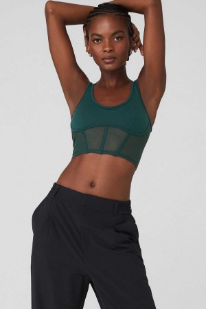 Alo Yoga USA Airbrush Mesh Corset Midnight Green | 7160539-YW