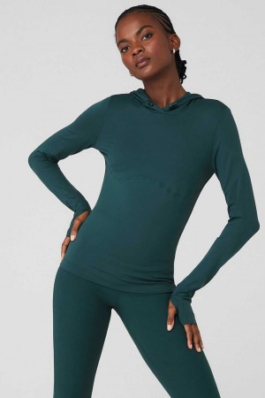 Alo Yoga USA Alosoft Hooded Runner Long Sleeve Midnight Green | 1375902-XM