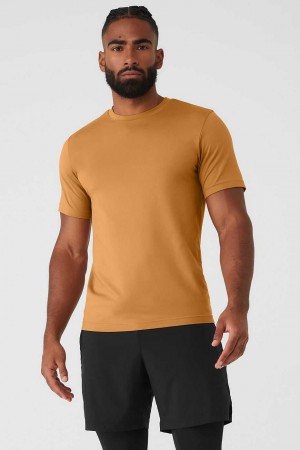 Alo Yoga USA Conquer Reform Crewneck Toffee | 4810532-LZ