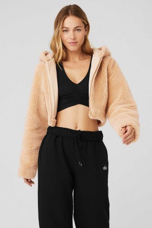 Alo Yoga USA LA Sherpa Camel | 3941562-AK