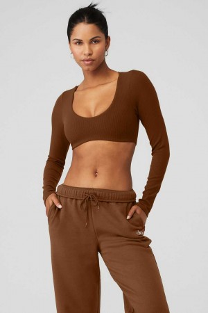 Alo Yoga USA Ribbed Defined Cinnamon Brown | 6540829-RP