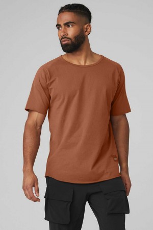 Alo Yoga USA Society Crewneck Tee Rust | 9312875-QJ