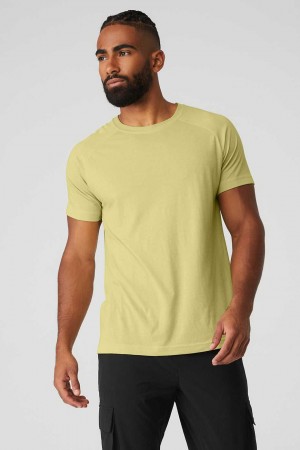 Alo Yoga USA The Triumph Crew Neck Tee Dusty Yellow | 6329108-DH