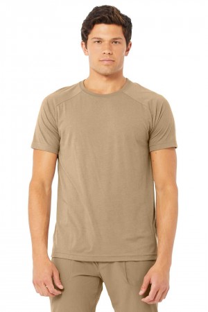 Alo Yoga USA The Triumph Crew Neck Tee Gravel | 6581937-XN